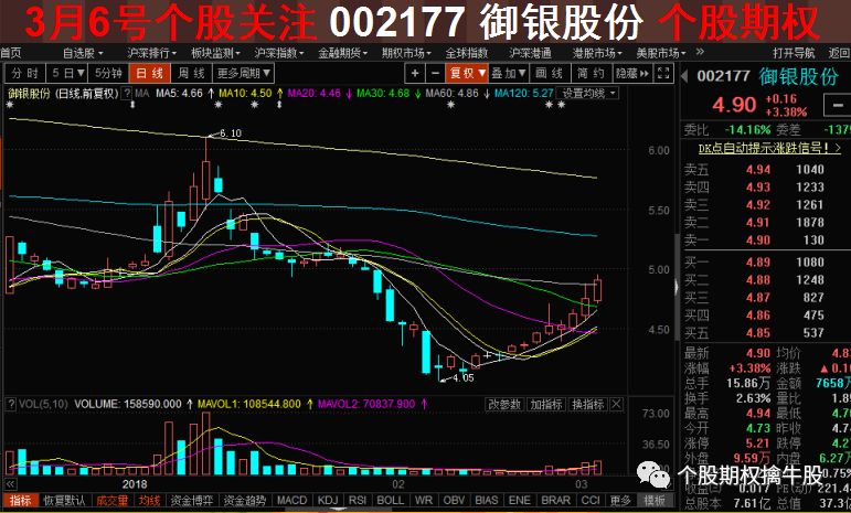 个股期权最新动态，变化与自信的盛宴