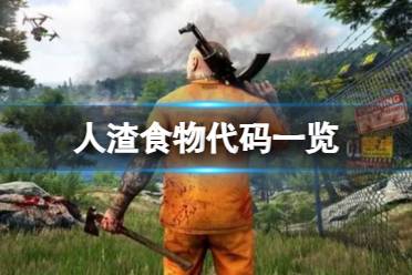 人渣最新代码，一段温馨的编程之旅探索